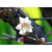 リハビリは毎日しても意味がない みんなの介護コミュニティ