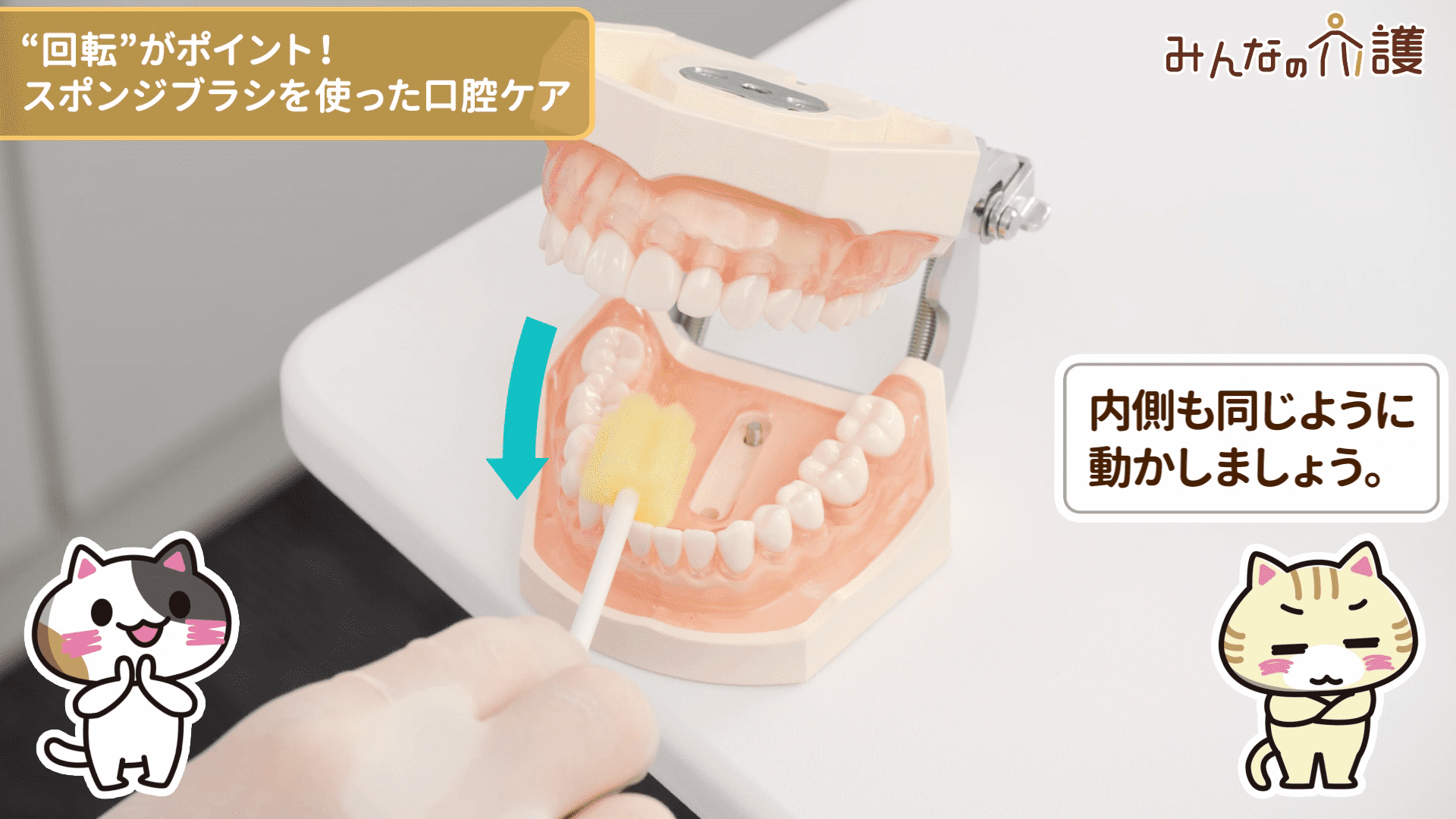 下の歯ぐきを清掃するイメージ