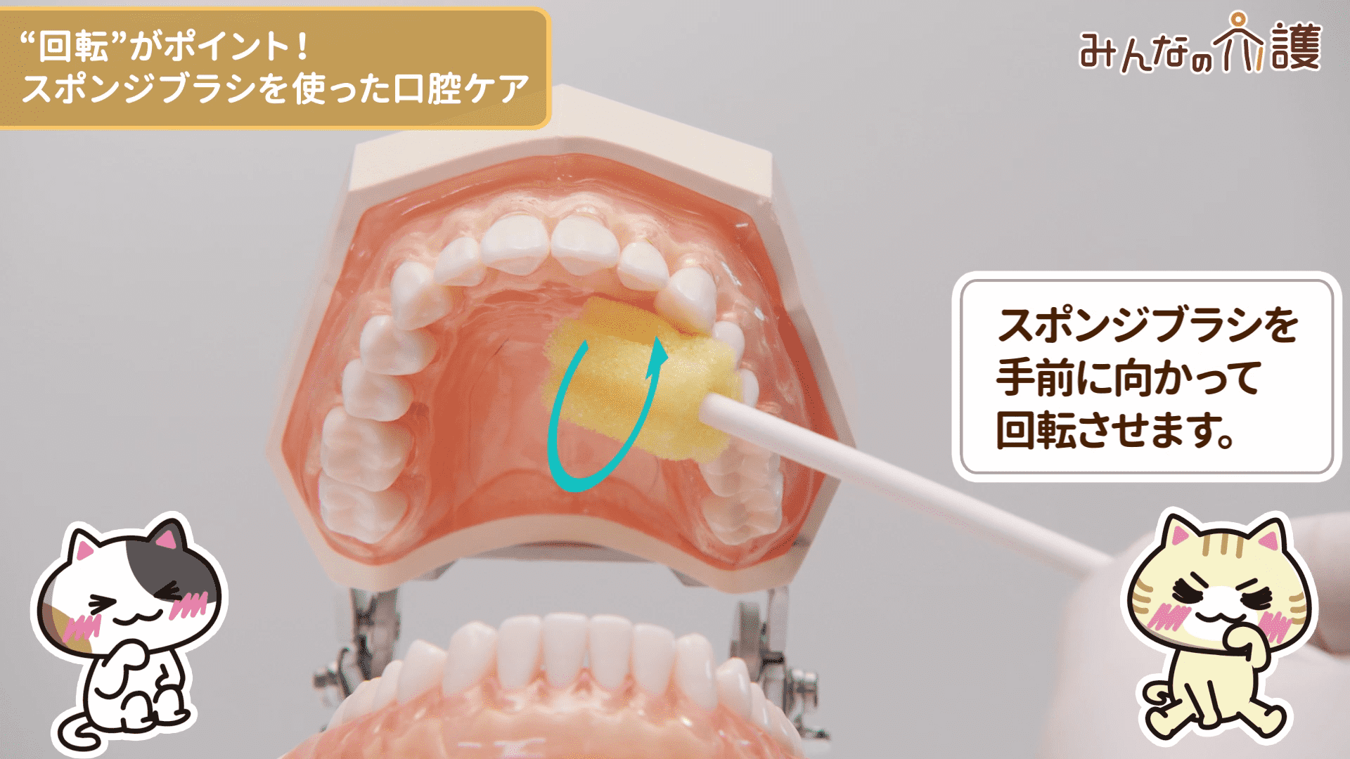 口蓋を清掃している様子