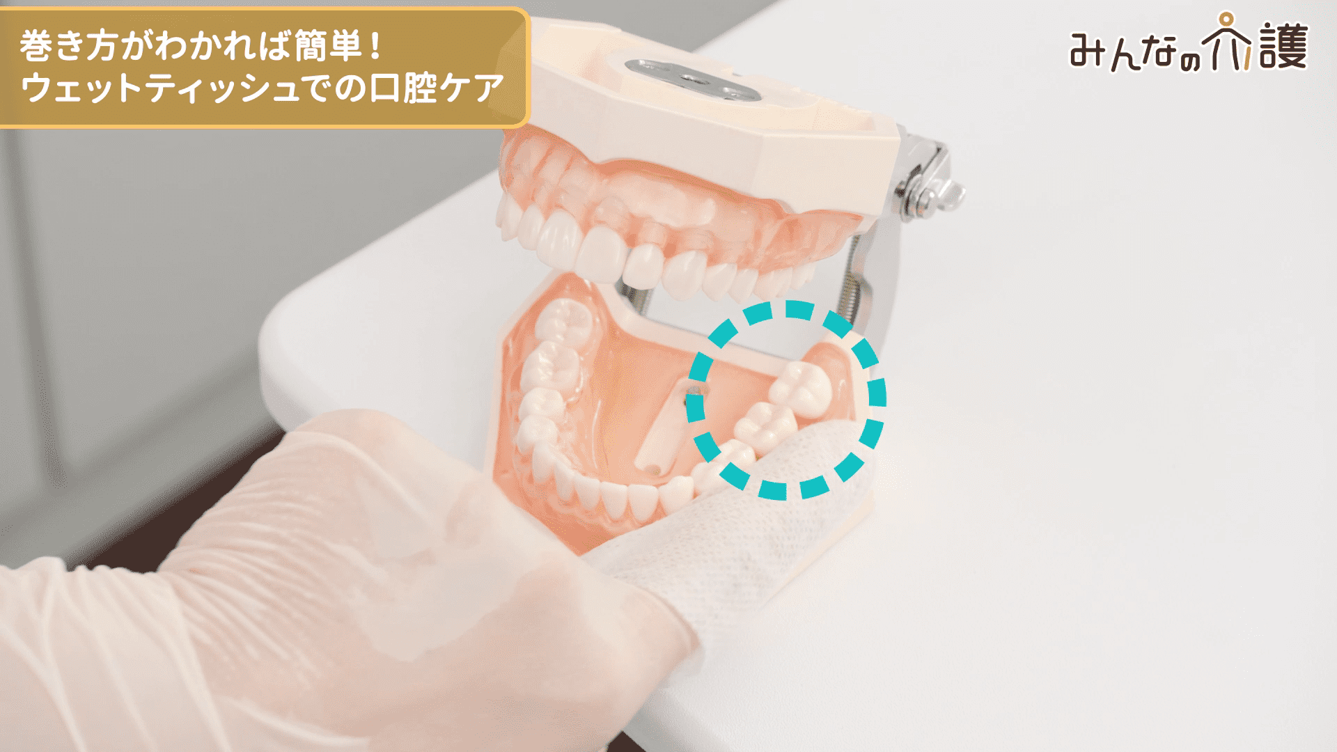 下の歯ぐきを清掃しているイメージ