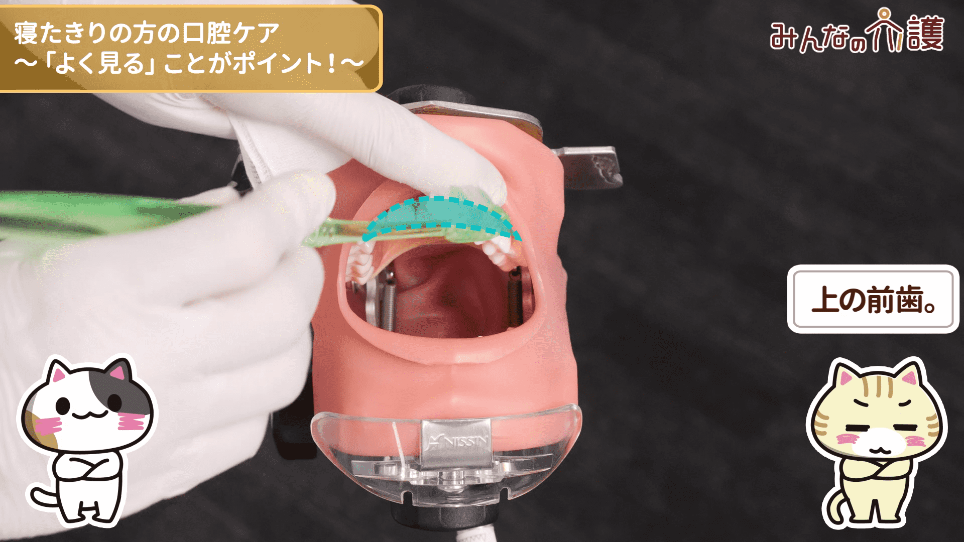 上の前歯を磨いている様子