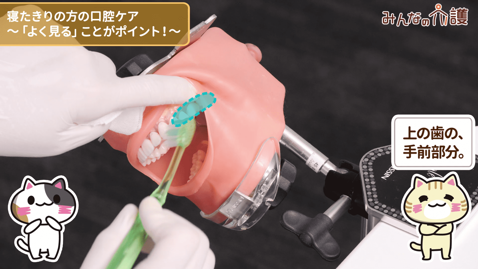 上の歯の、手前部分を磨いている様子
