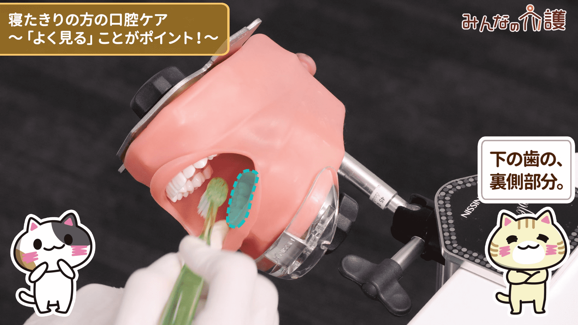 下の歯の裏側部分を磨いている様子