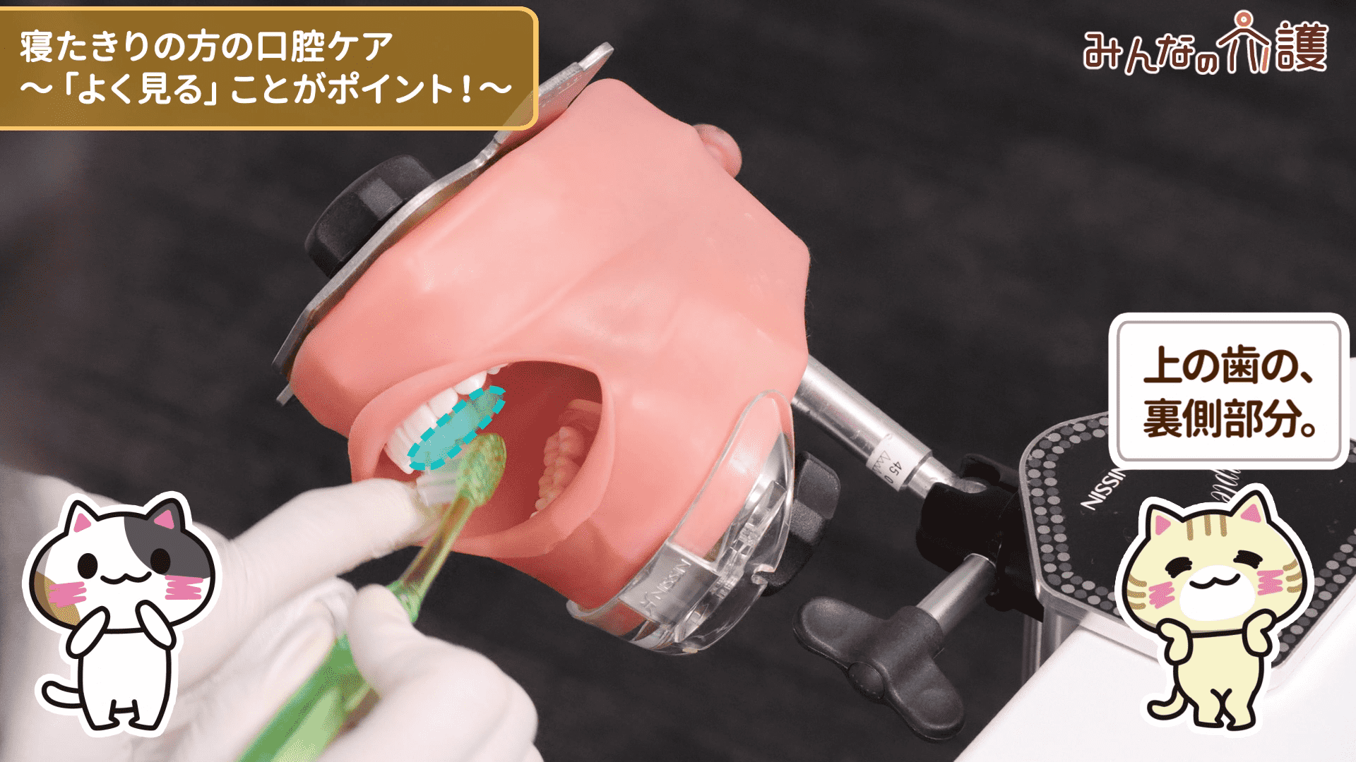 上の歯の裏側部分を磨いている様子