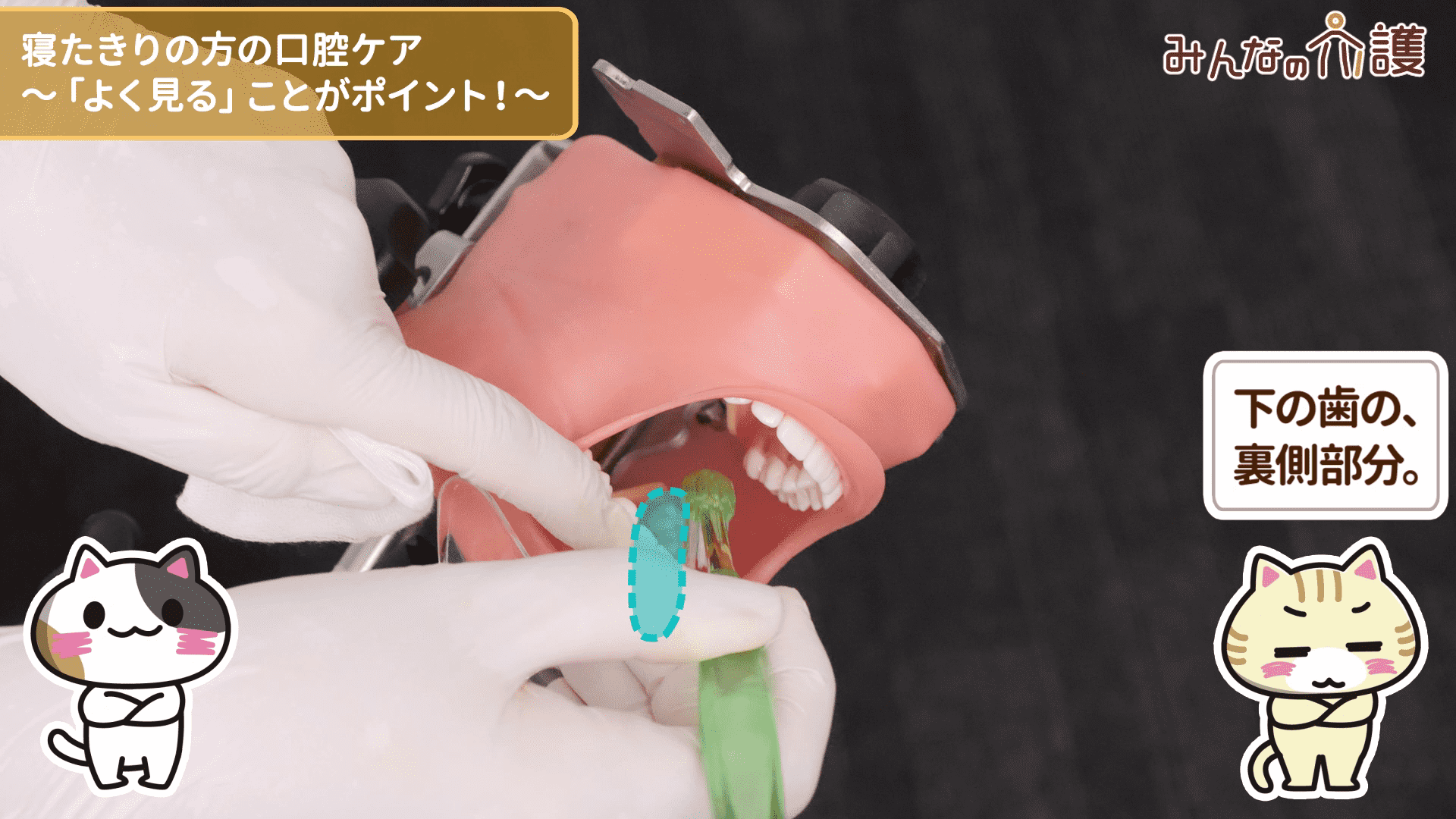 下の歯、裏側部分を磨いている様子