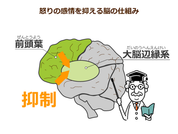 アンケート キレる高齢者に必要な対応でもっとも多いのは 社会で活躍できる場を広げる こと 接するときに心得ておくこととは みんなの介護