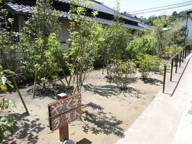 施設内の中庭スペースの写真。植物が間隔をあけてきれいに植えられている様子